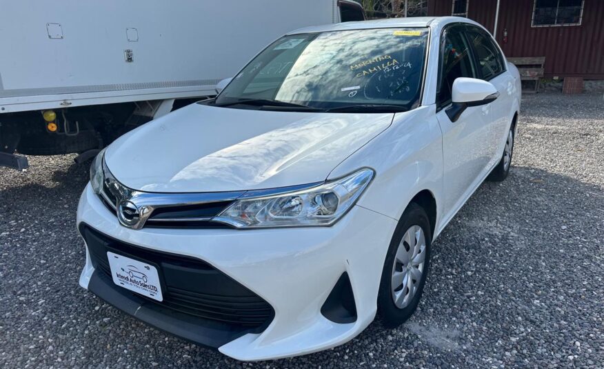 2018 TOYOTA AXIO